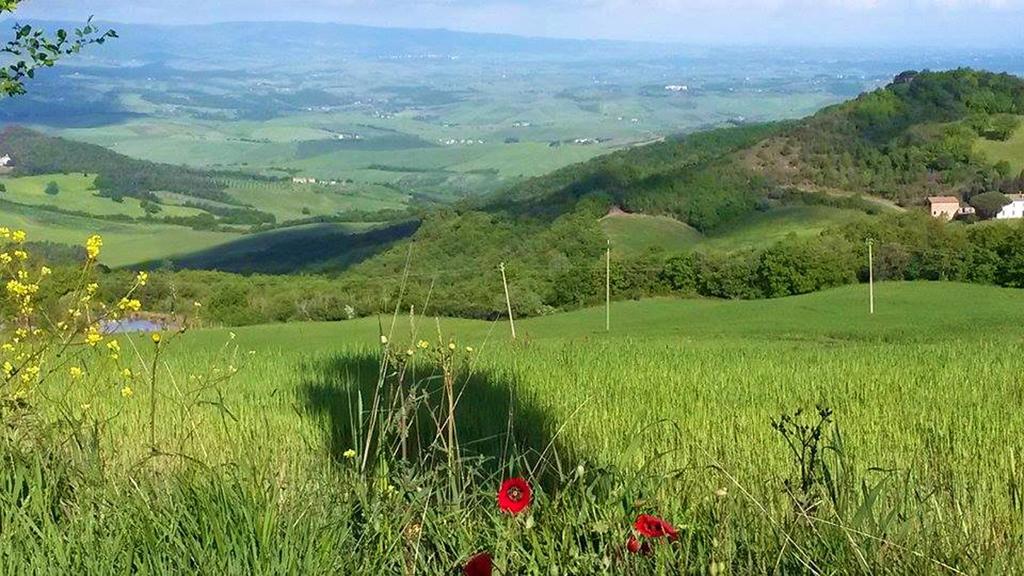 Relais Villa Sensano Pignano Kültér fotó